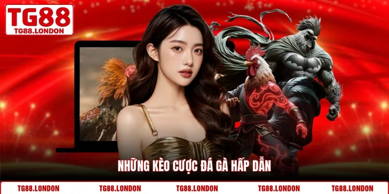 Những kèo cược đá gà hấp dẫn