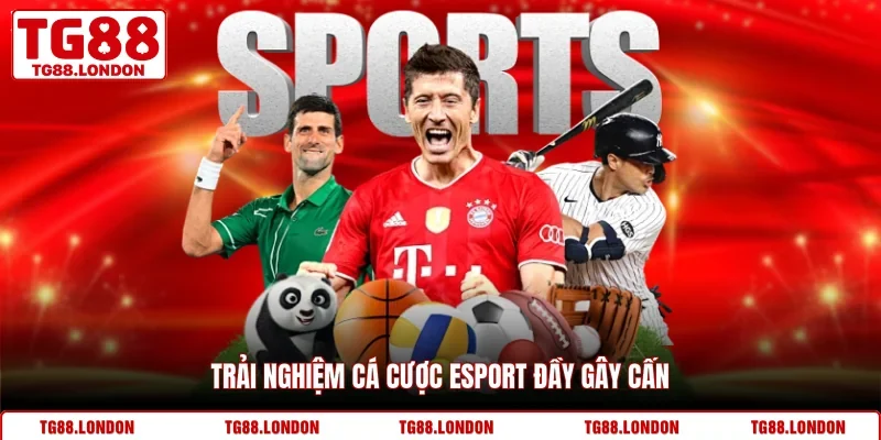 Trải nghiệm cá cược esport đầy gây cấn
